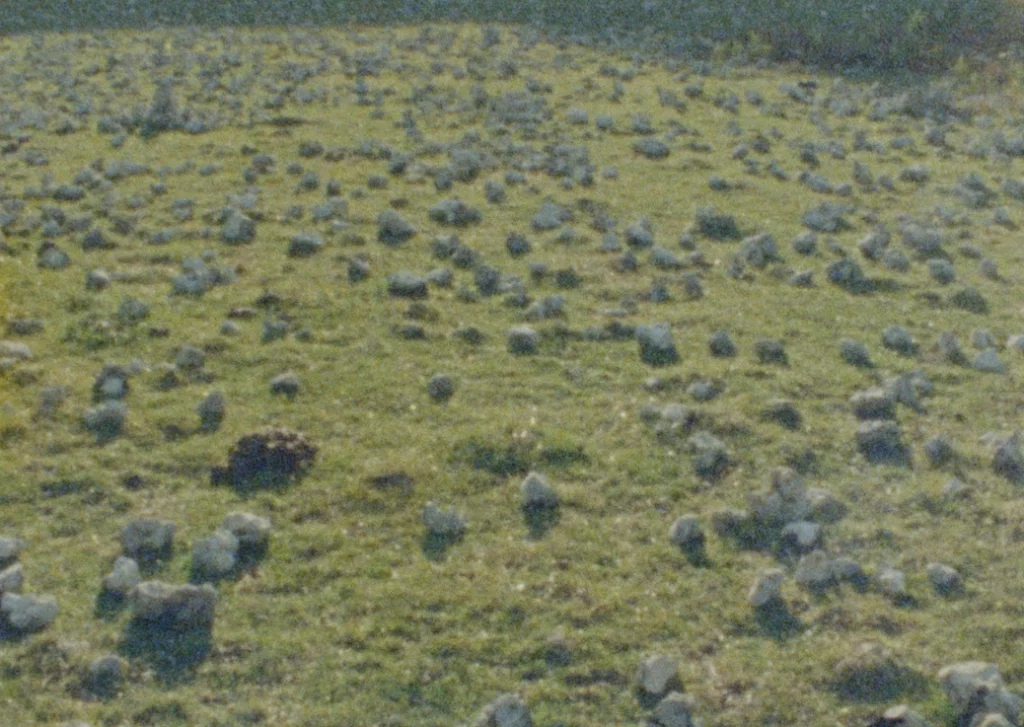 Steine auf Wiese, hügelig, vollflächig, Still aus dem Dokumentarfilmprojekt Vakifli